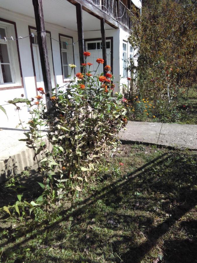 9 Plus - Orbeli Extérieur photo