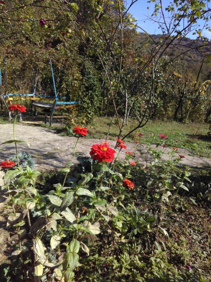 9 Plus - Orbeli Extérieur photo