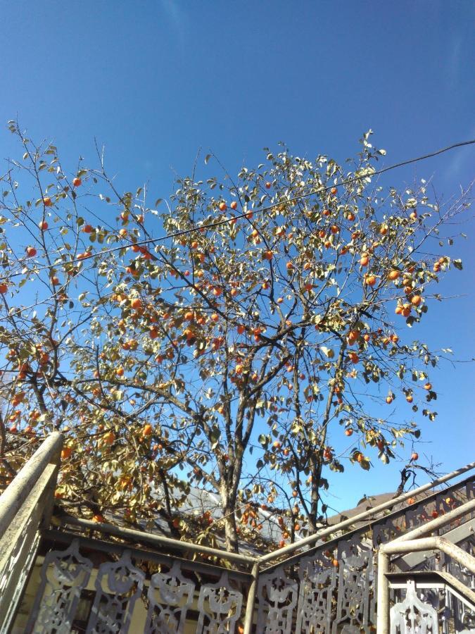 9 Plus - Orbeli Extérieur photo