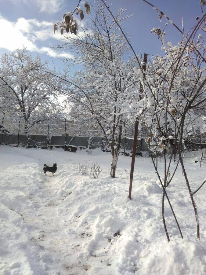 9 Plus - Orbeli Extérieur photo
